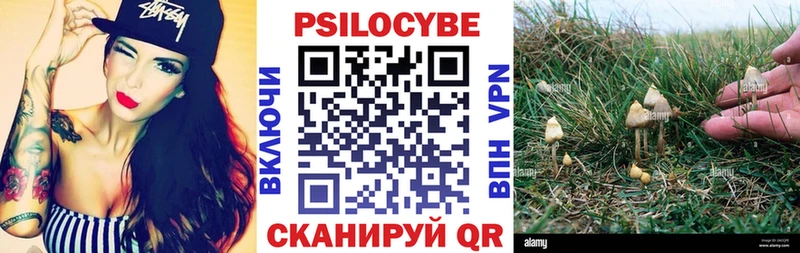 Галлюциногенные грибы ЛСД  Купить закладки  Омск 